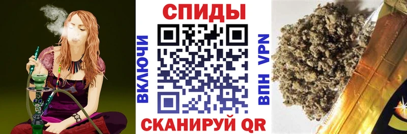 купить наркотик  Новоржев  блэк спрут как зайти  Бутират оксана 