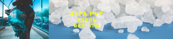 СК Верея