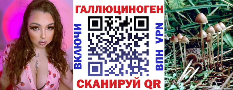 Галлюциногенные грибы Psilocybine cubensis  Новоржев 